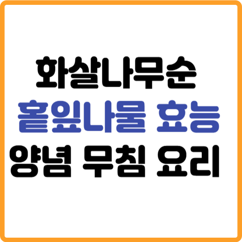 화살나무순(홑잎나물) 효능 양념 무침 만들기 요리 레시피 관련 사진