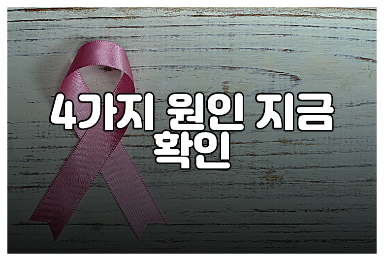 4가지 원인 지금 확인