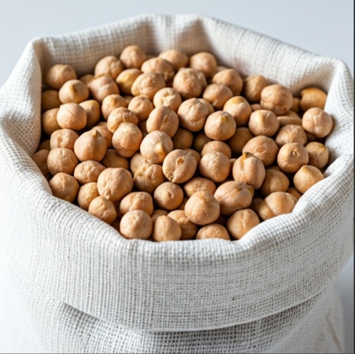 병아리콩이미지/사진