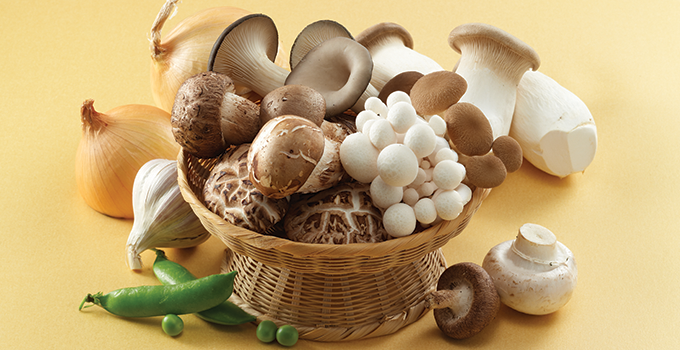 버섯종균기능사 자격증 정보