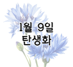 이 이미지를 클릭하시면 1월 9일 탄생화에 대한 포스팅으로 이동됩니다.