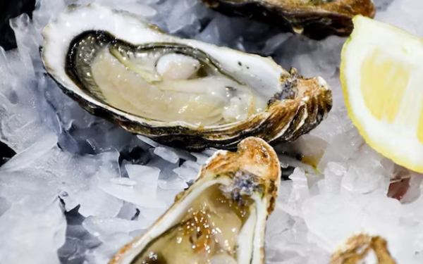 노로바이러스 전염