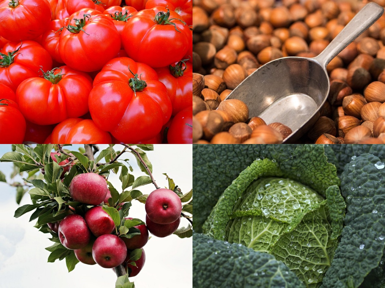 전립선에 좋은 음식