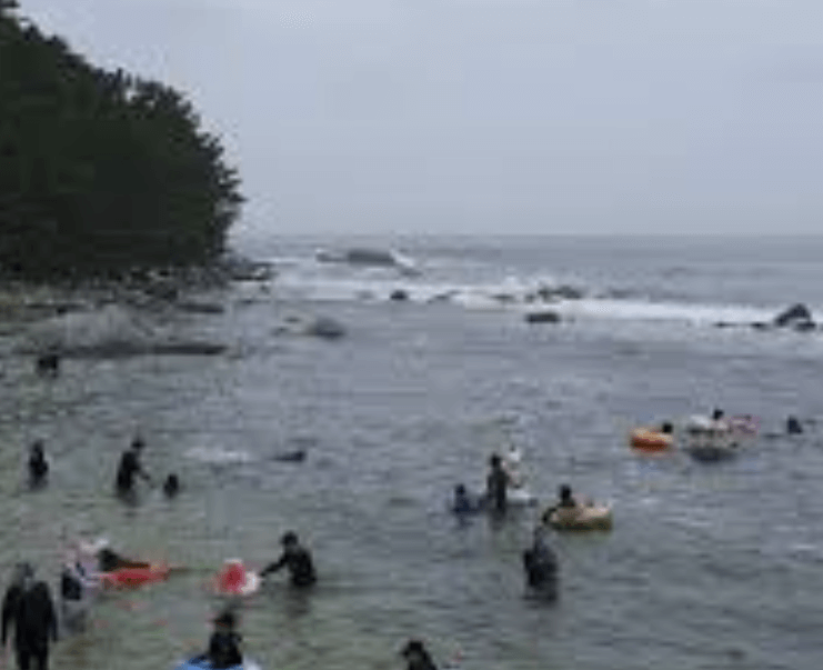 마차진해수욕장