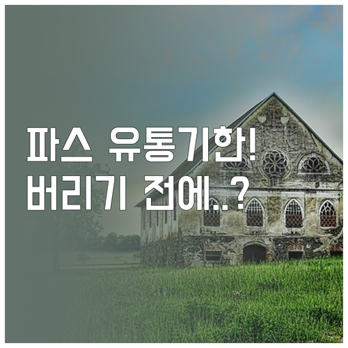 유통기한 지난 파스 버리는 방법과 주..