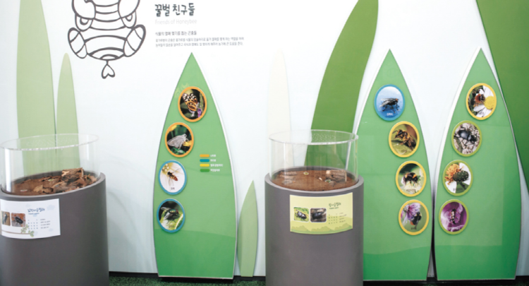 꿀벌나라 테마공원