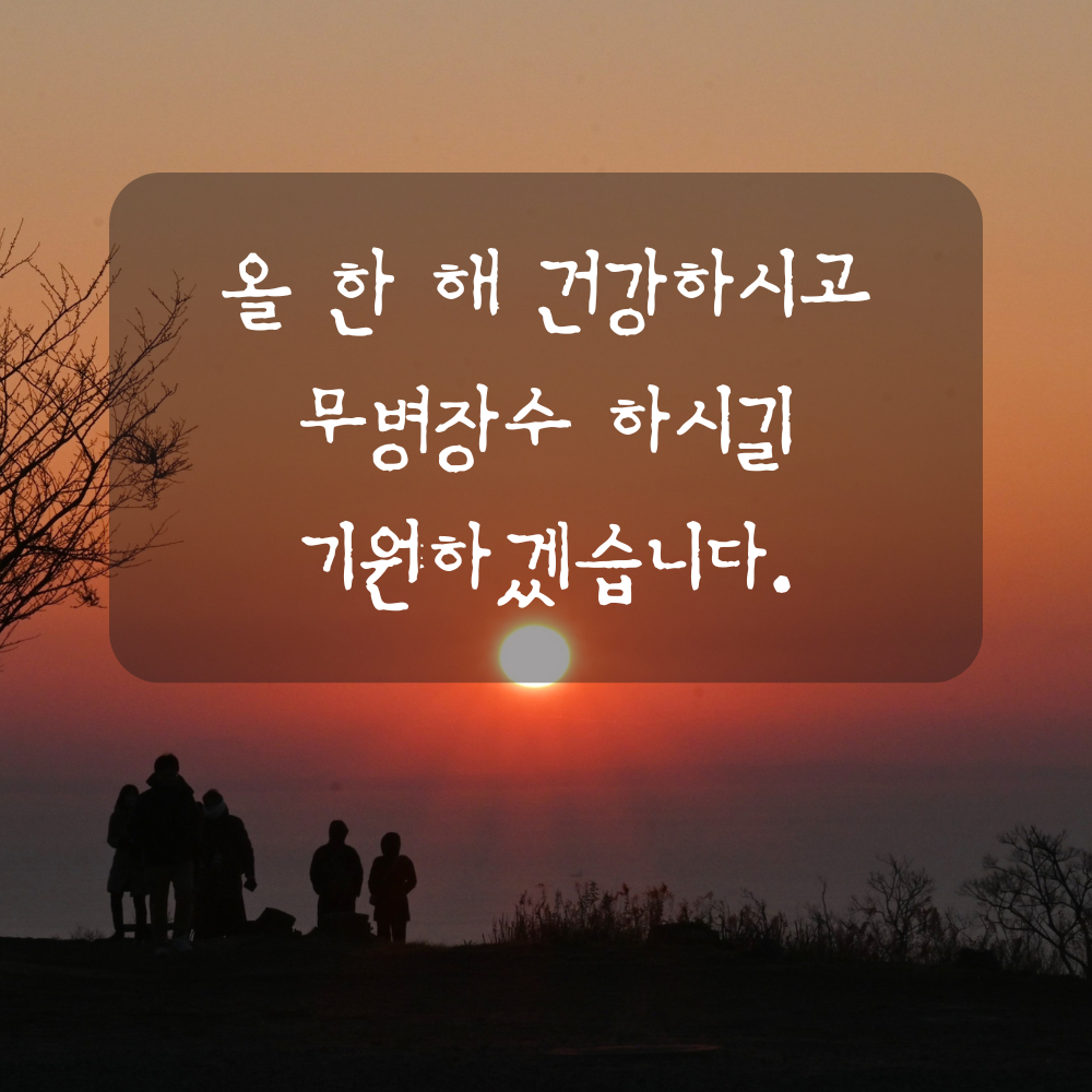 설날 인사말 문구 새해 복 많이 받으세요 이미지 모음