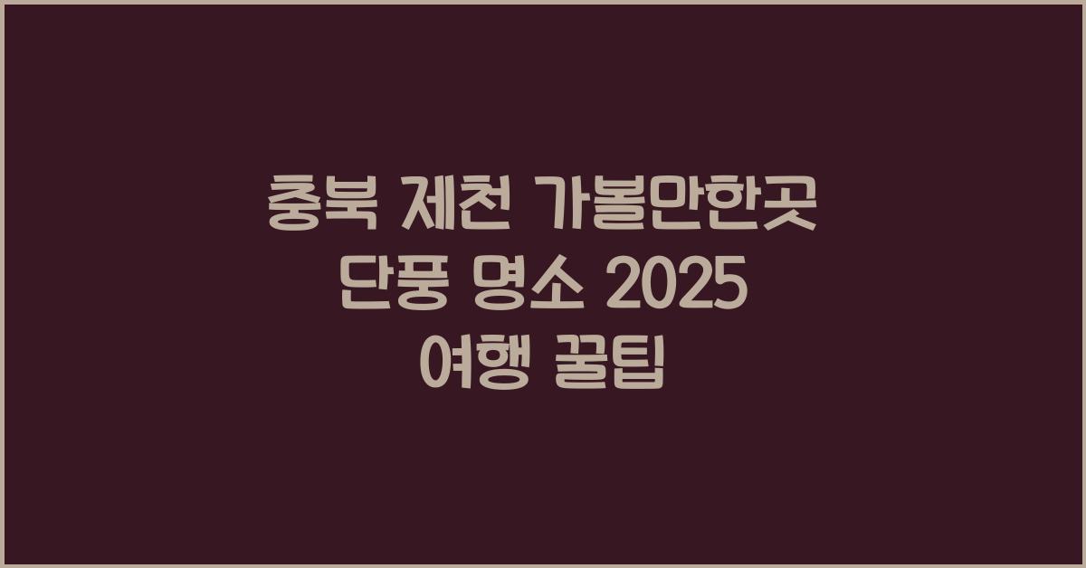 충북 제천 가볼만한곳