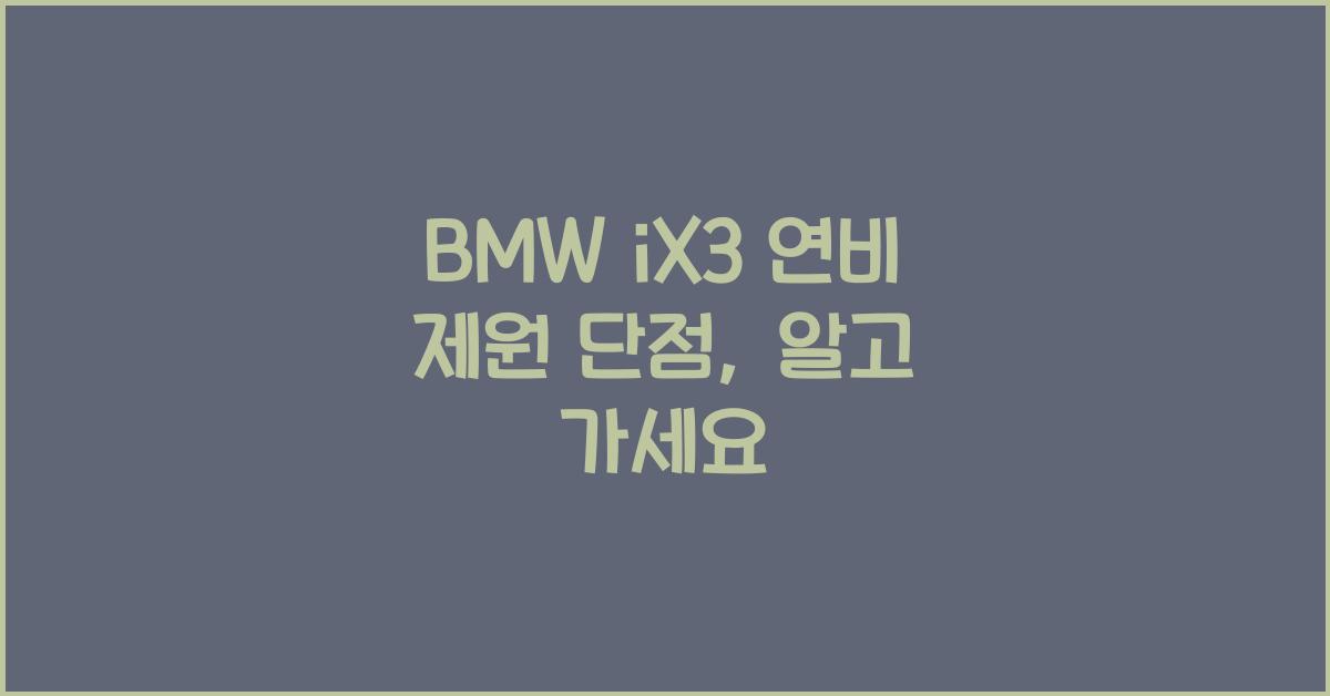 BMW iX3 연비 제원 단점