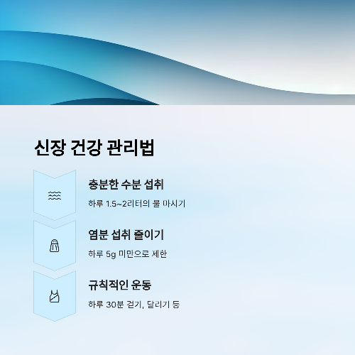 우리 몸의 필터, 신장! 건강 관리를 위한 모든 것