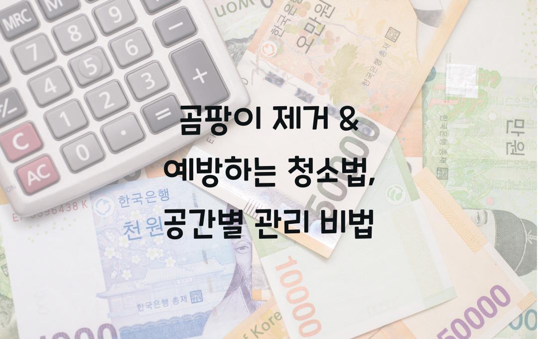 곰팡이 제거 & 예방하는 청소법 (화장실, 주방, 침실 관리 팁)