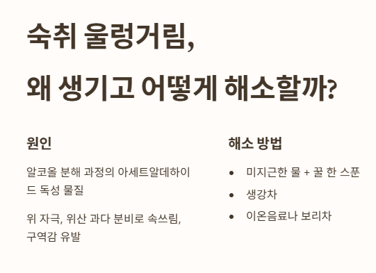 숙취 울렁거림&amp;#44; 왜 생기고 어떻게 해소할까? 