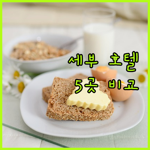 세부 호텔 어디가 좋을까? 5곳의 장