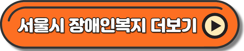 서울시 장애인복지 더보기