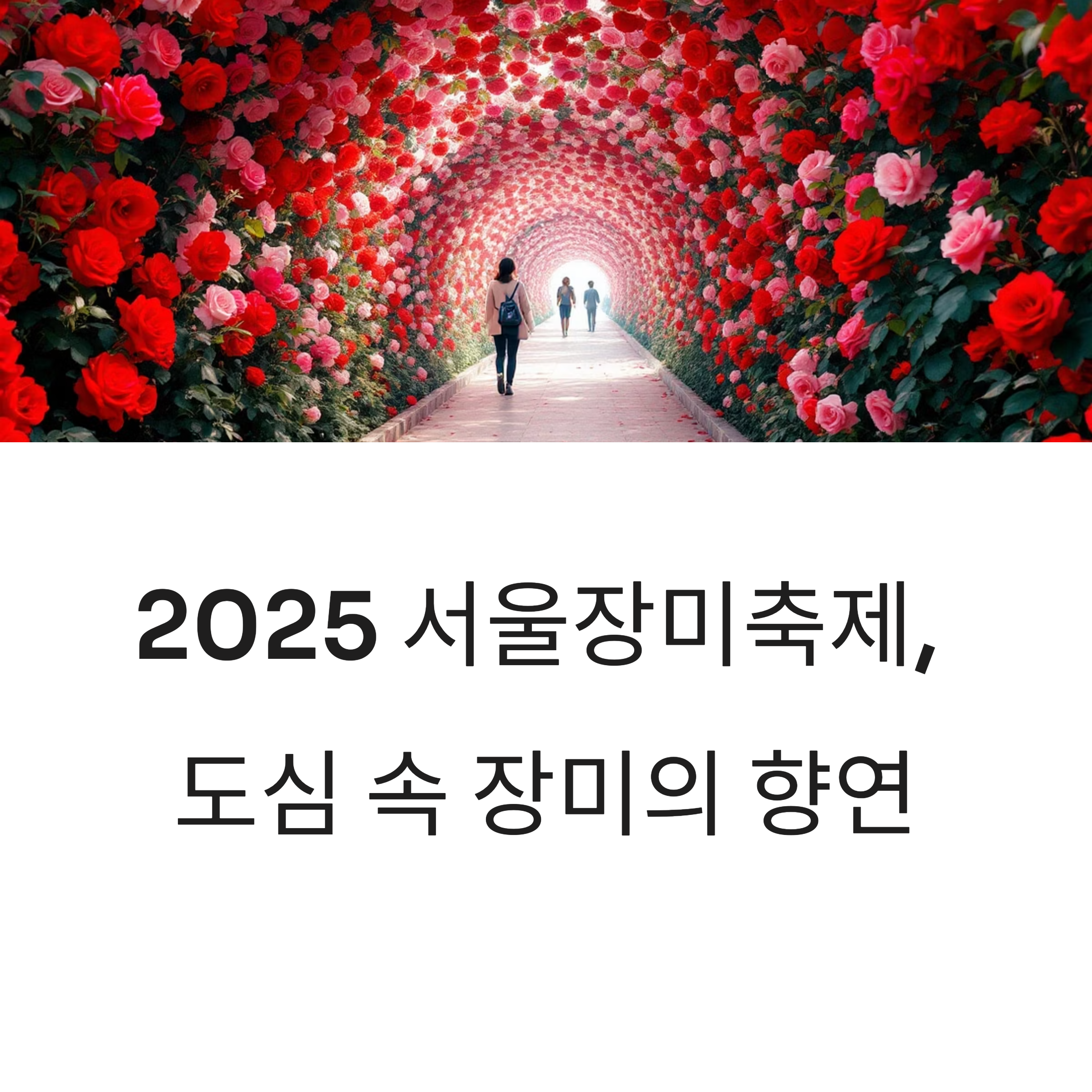 2025 서울장미축제, 중랑천을 붉게 물들인 9일간의 꽃 대향연
