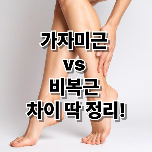 가자미근 비복근 차이 총 정리