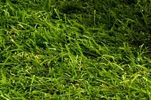 청년 주택드림 디딤돌 대출 조건, 신청 자격부터 금리까지