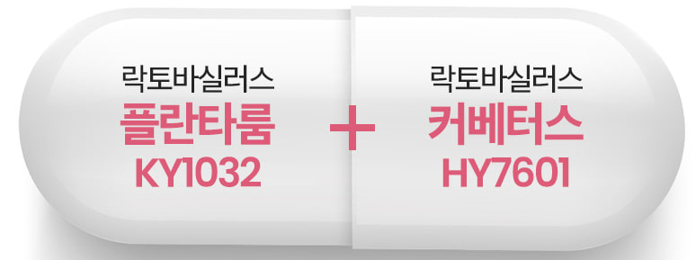 락토바실러스