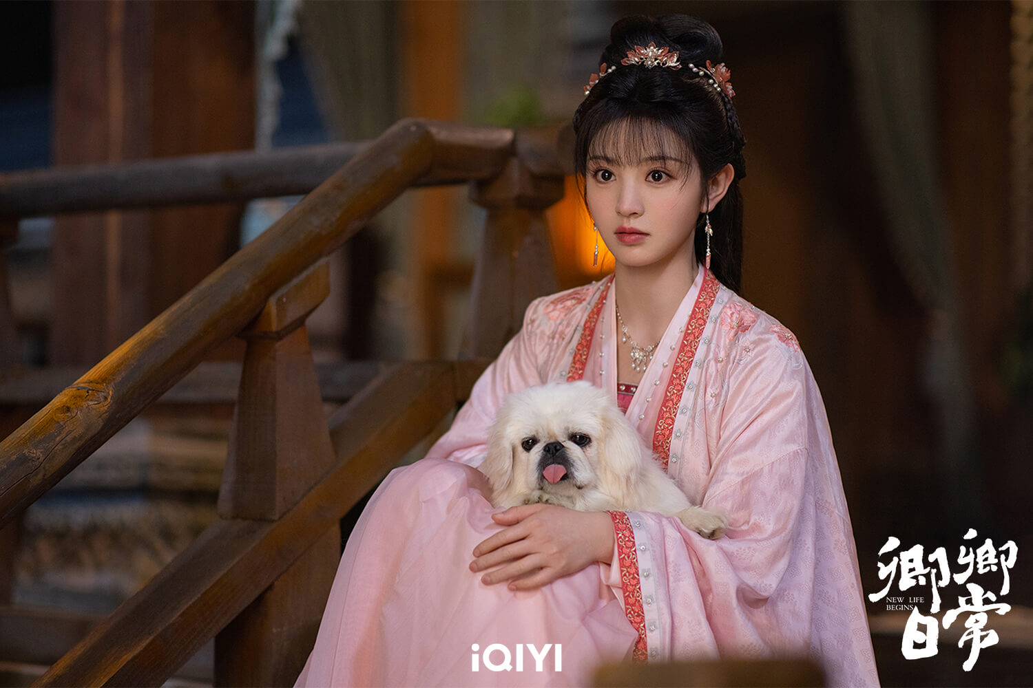 경경일상