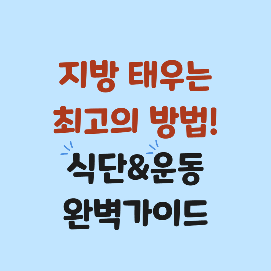 지방 태우는 최고의 방법 - 체지방 감량을 위한 식단 &amp; 운동