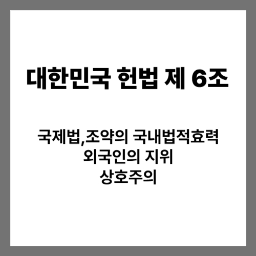 국제법과 국내법 &외국인의 지위-대한민국 헌법 제6조