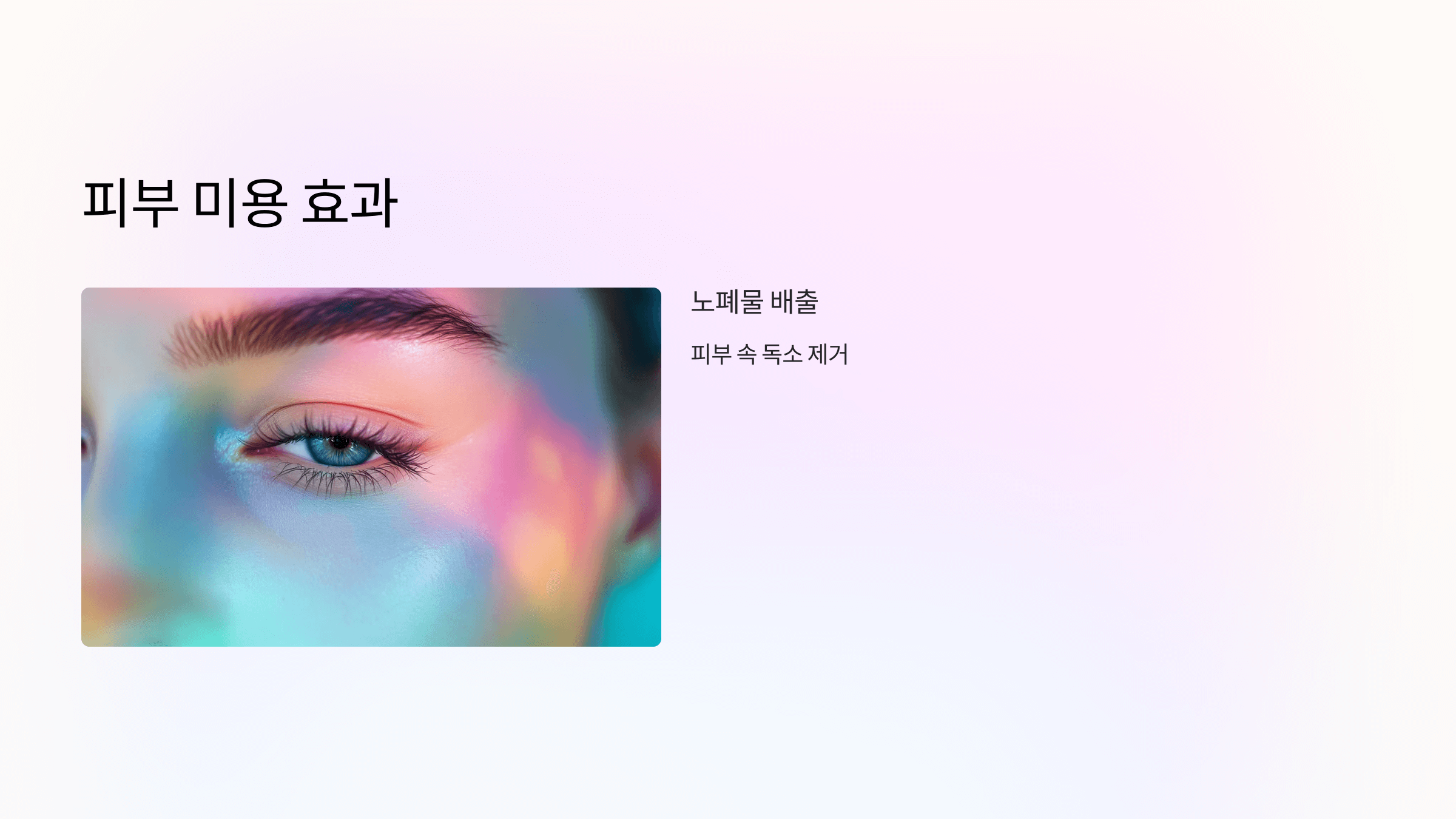 타트체리 사진입니다.