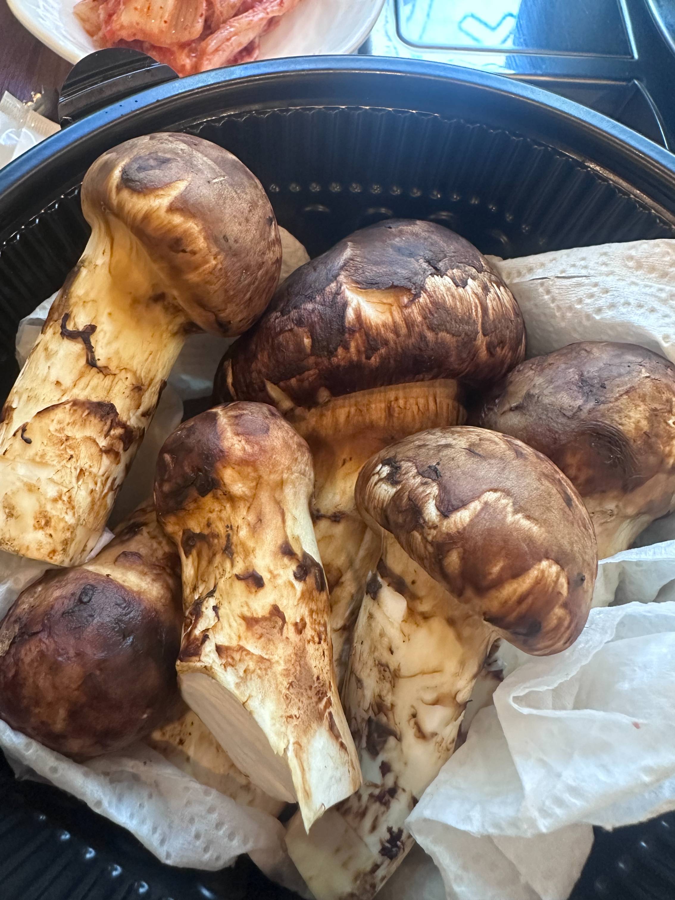 송이버섯 먹는법 완벽정리|향 손상 없이 즐기는 손질·구이·밥 요리 꿀팁