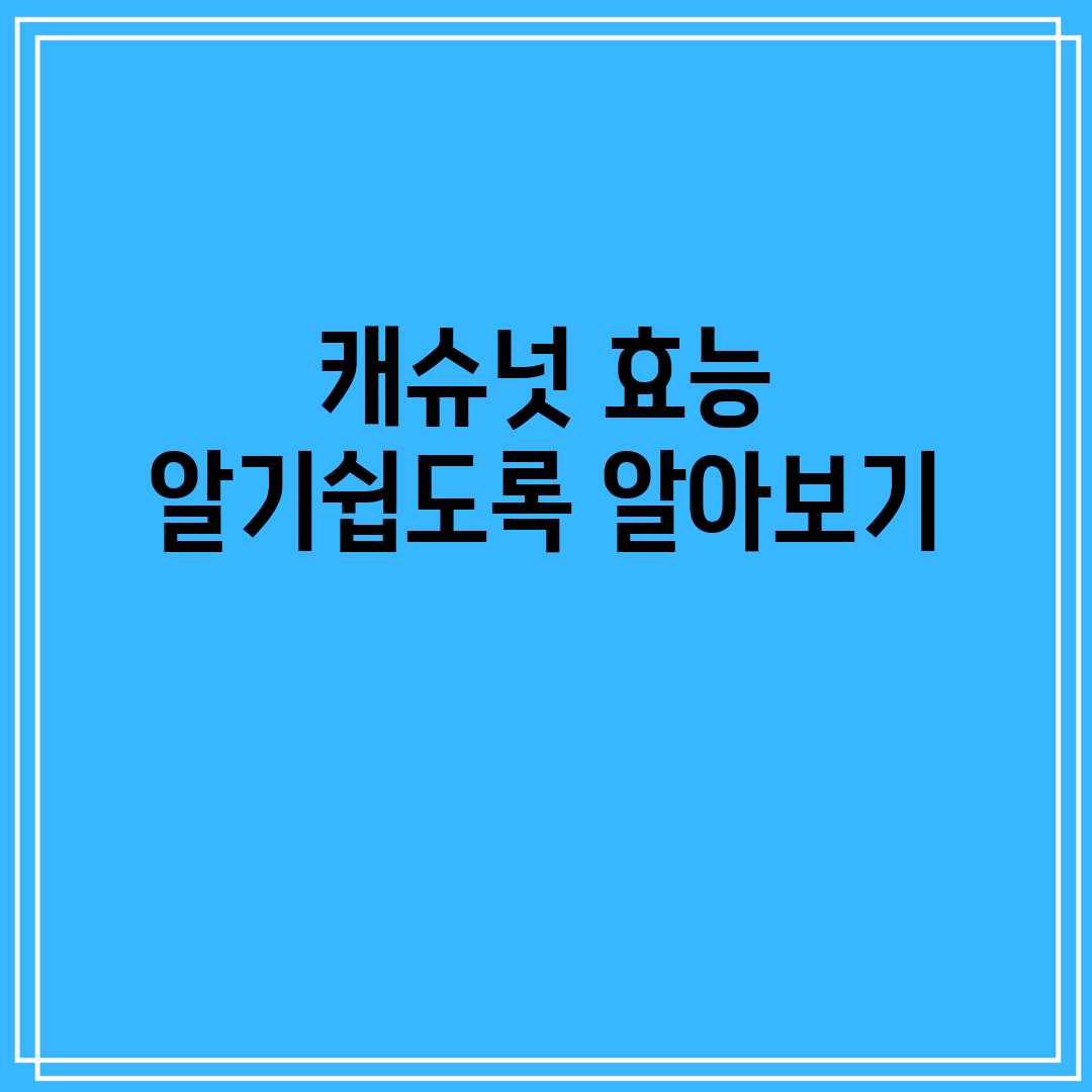 캐슈넛 효능 알기쉽도록 알아보기