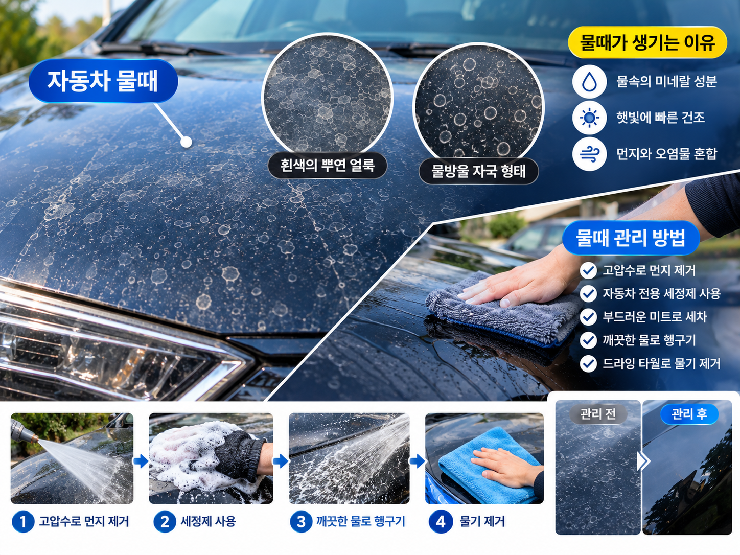 자동차 물때