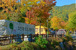 단양 소선암 캠핑장