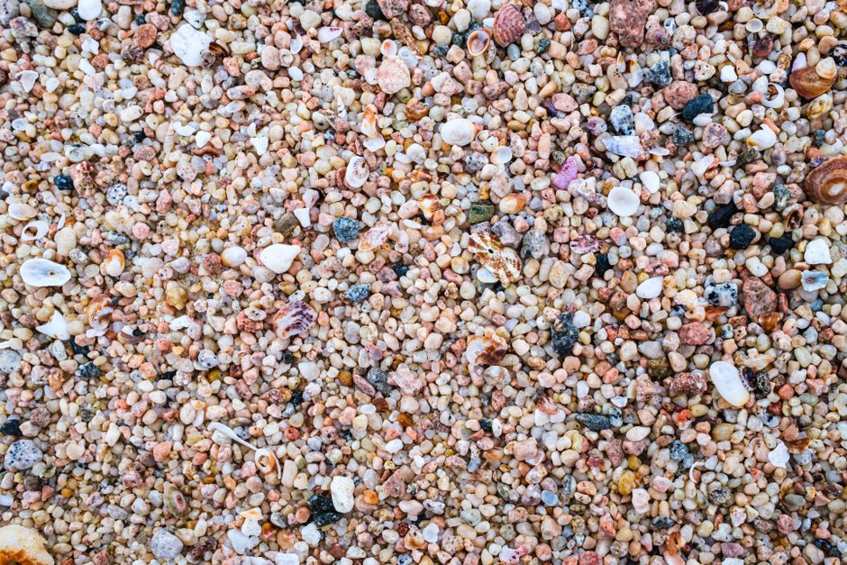 Close-up view of multicolored pebbles and small shells scattered on a beach.