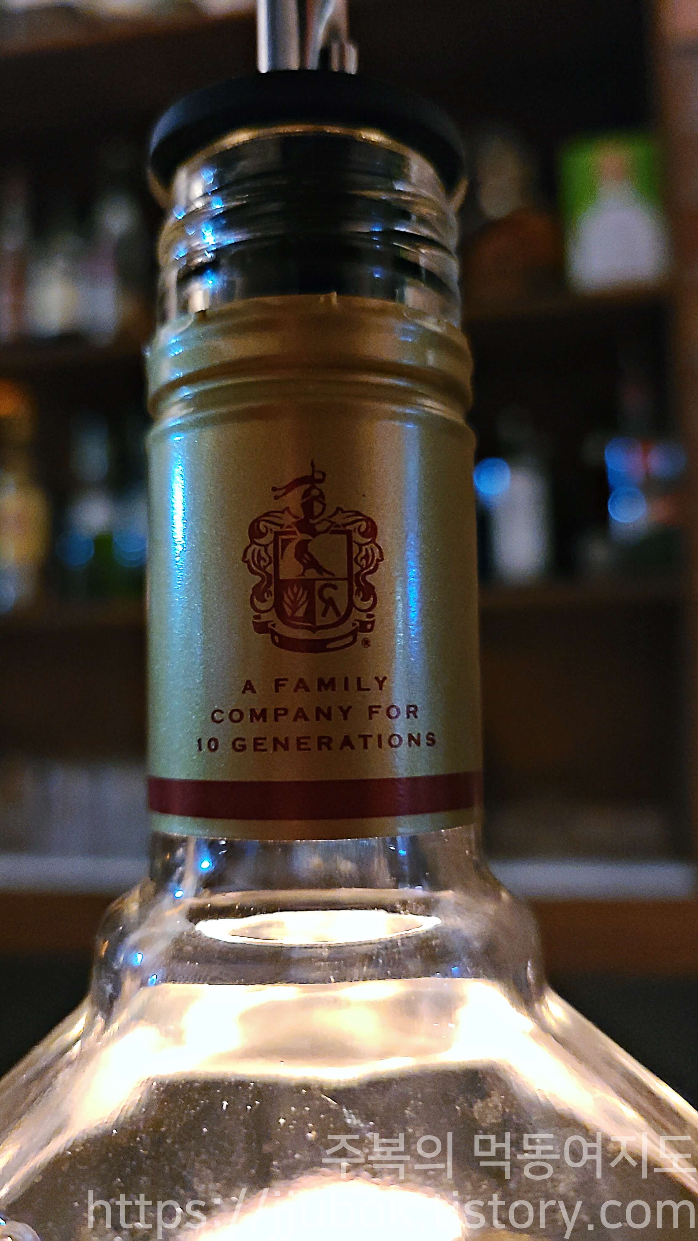 호세-쿠엘보-문양