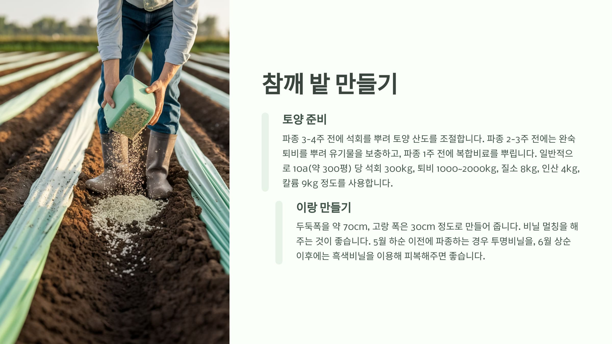 참깨 밭 만들기 준비 단계