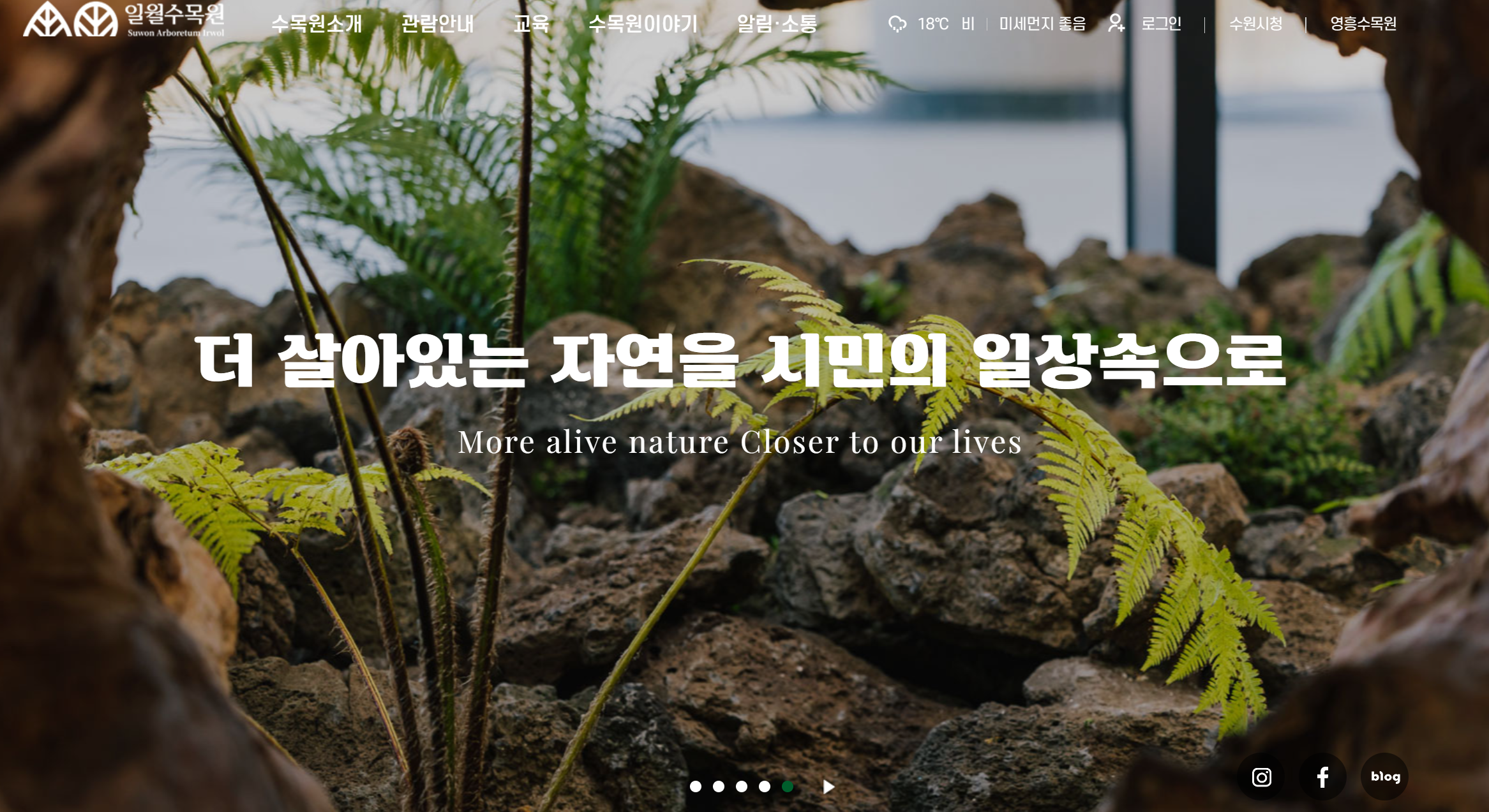 수원 일월수목원 야경개장