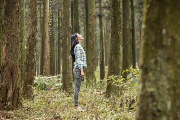 도시숲이 여름에 얼마나 시원해지는지 몰랐어요