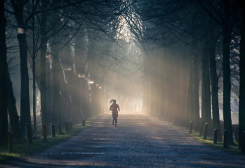 아침 운동 추천