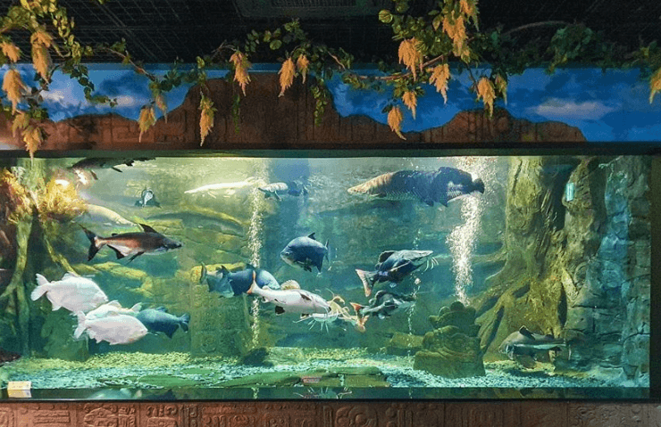 단양 가볼만한곳 베스트 10