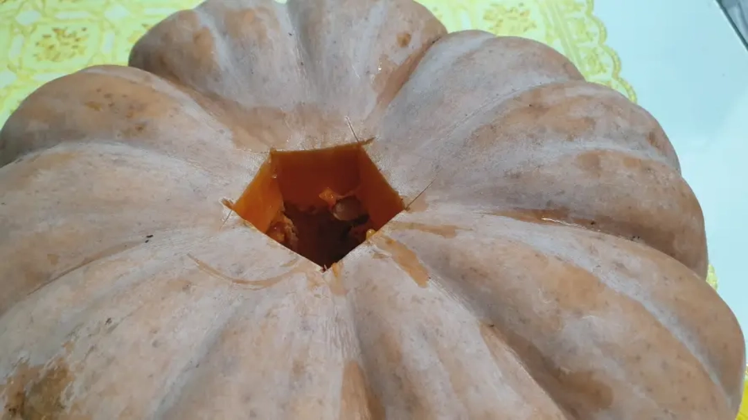 늙은 호박 꼭지 따놓은 모습