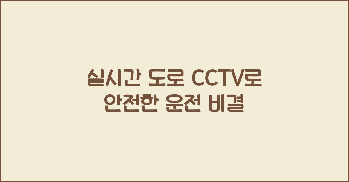 실시간 도로 cctv