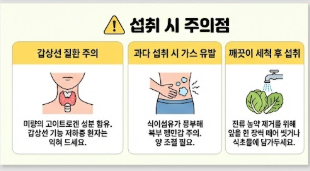 양배추즙의 효능