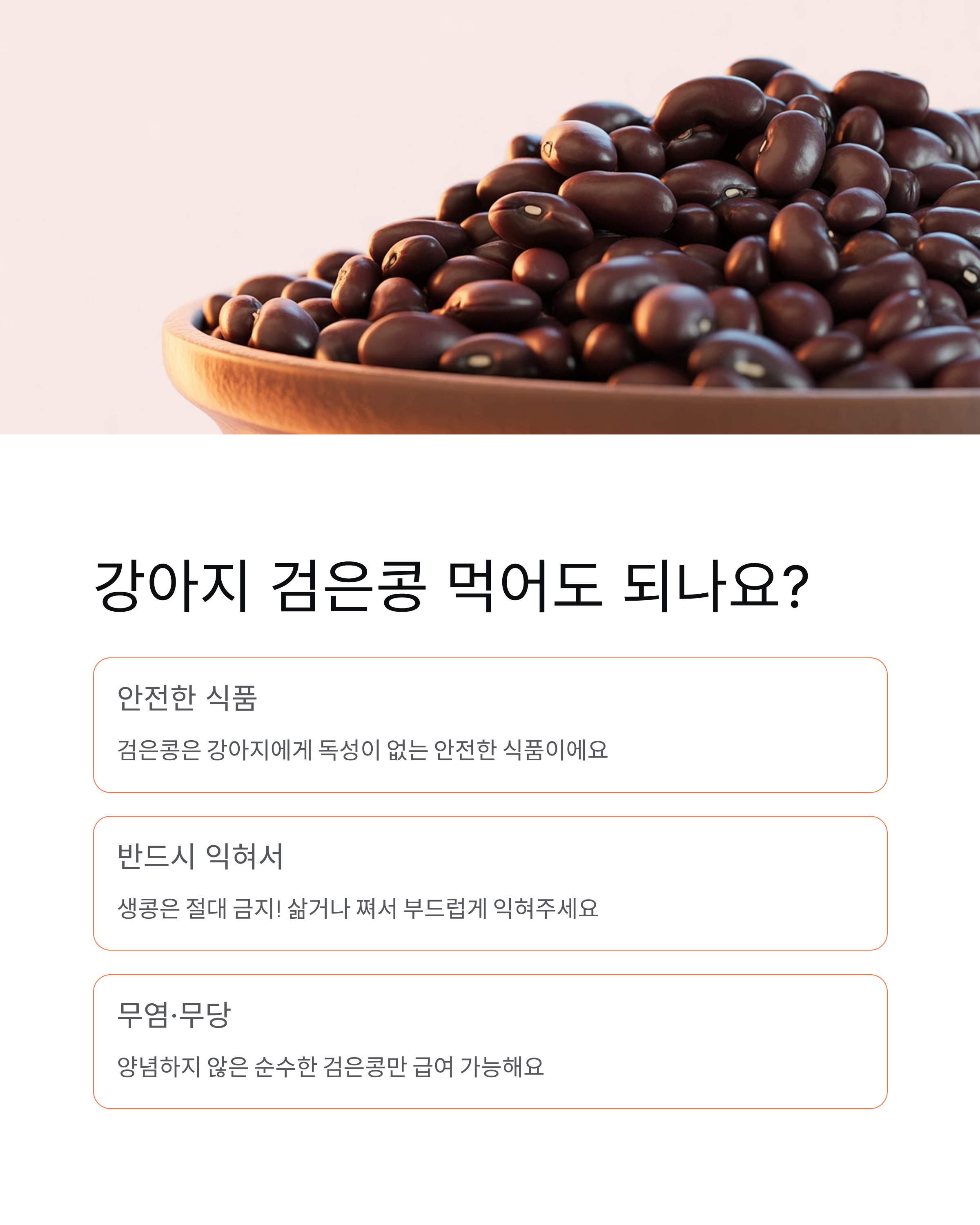 강아지 검은콩 🐕 급여량·효능·주의사항 완벽 정리!