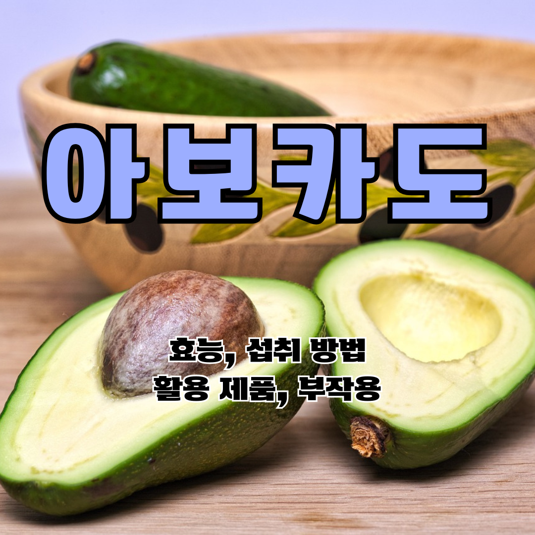 아보카도