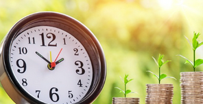 지방세완납증명서-인터넷-발급