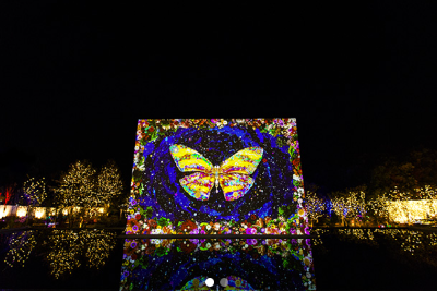 아름다운 나비 조명