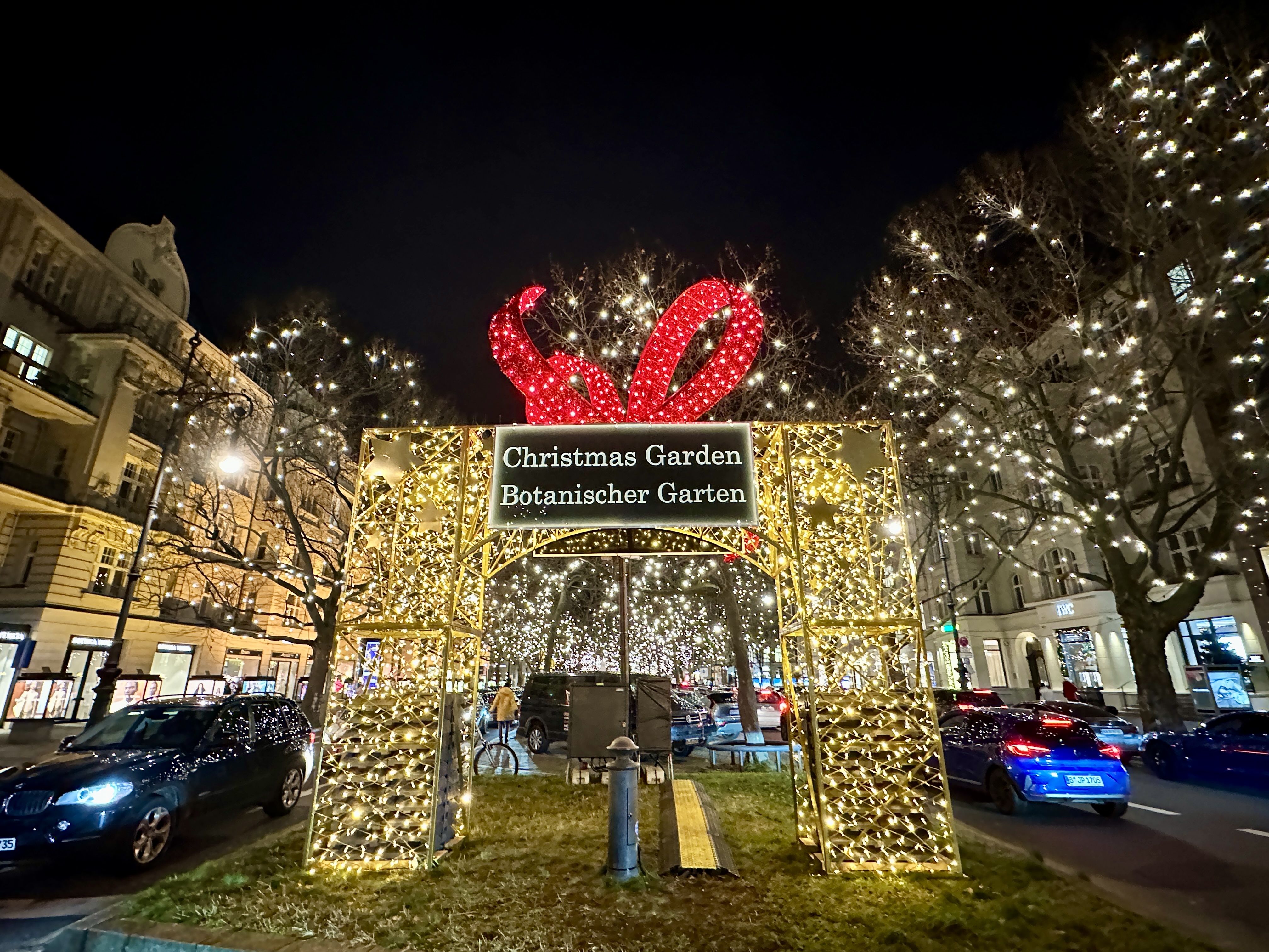 쿠담거리 크리스마스 가든