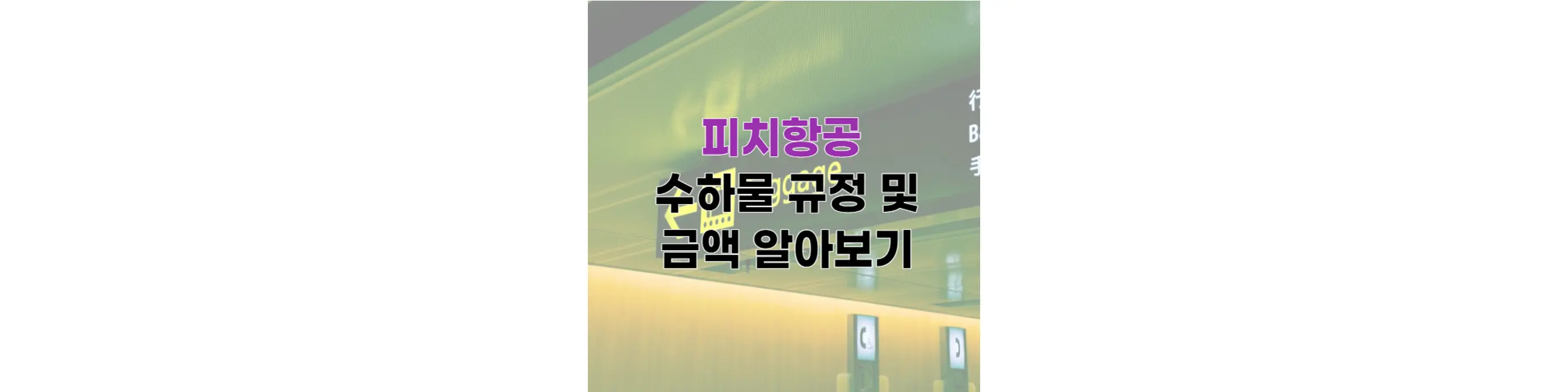 피치항공-수하물썸네일