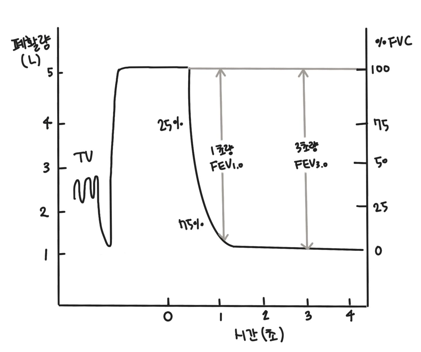 시간 폐활량과 호기중간 유량