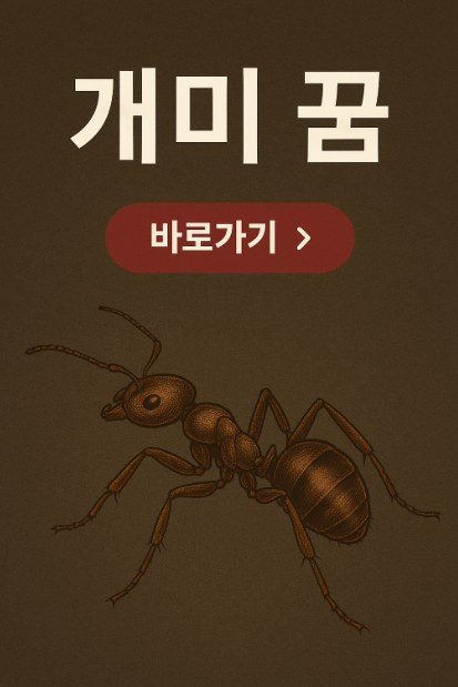 개미 꿈
