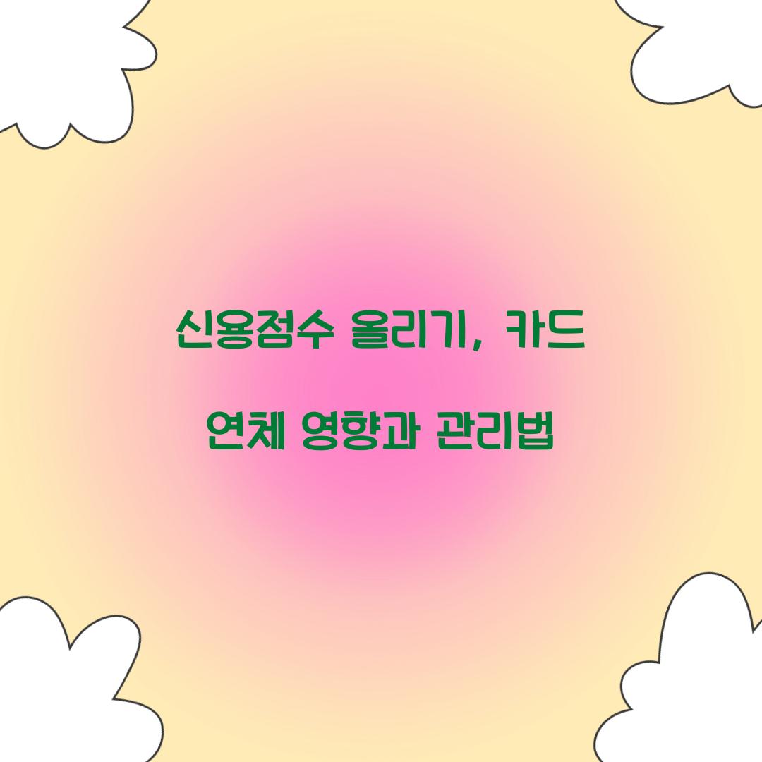 신용점수 올리기
