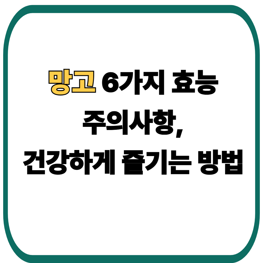 망고 6가지 효능과 주의사항, 건강하게 즐기는 방법